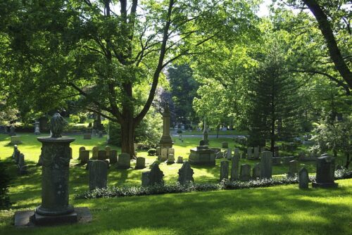Mt Auburn Cemetery is a great place for Bird Watching & gives great views of Downtown Boston