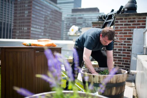 Chef Sean planting the rooftop garden
